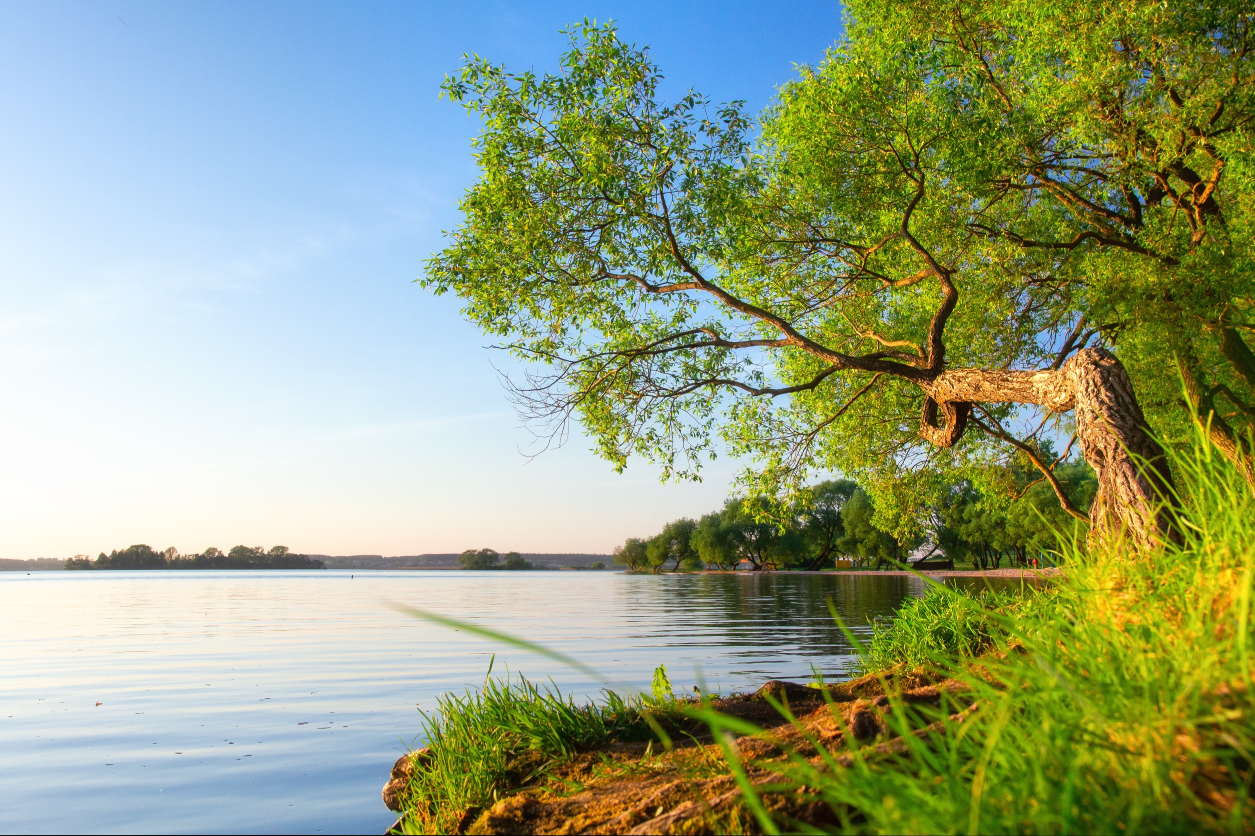 117960958_m_normal_none