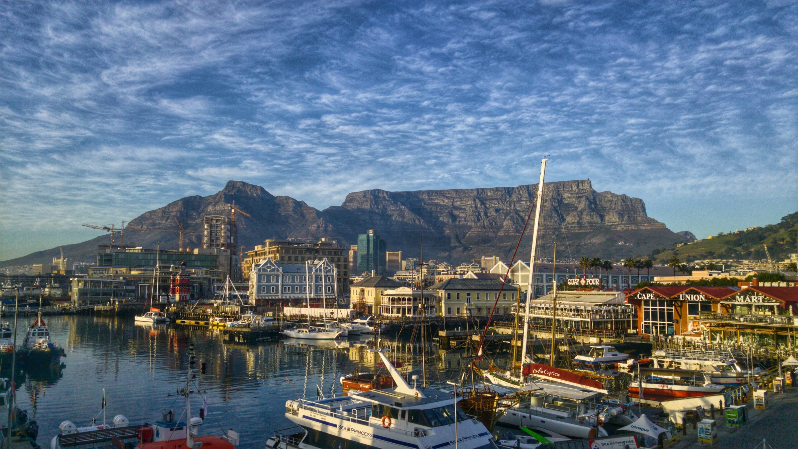 honeycomb-bee-location-cape-town-3